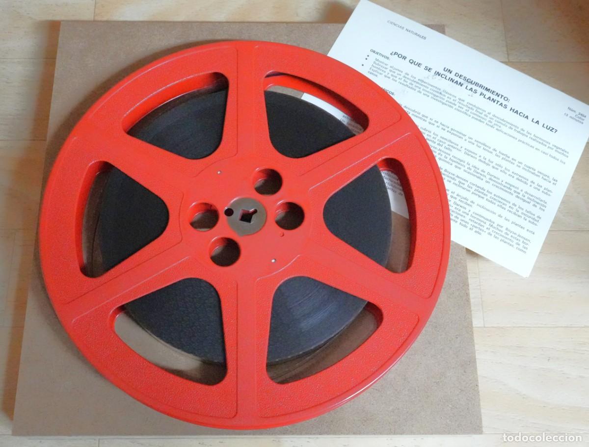 Cine: REPORTAJE 16MM - ENCICLOPEDIA BRIT&Aacute;NICA - &iquest;PORQUE SE INCLINAN LAS PLANTAS HACIA LA LUZ?