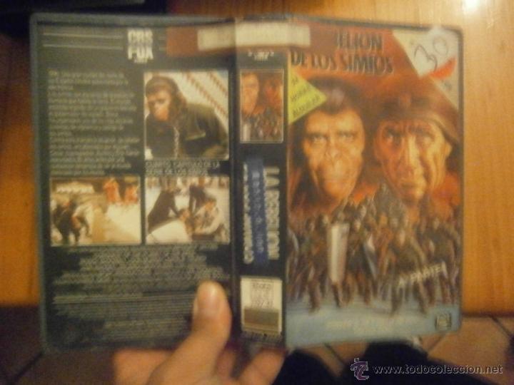 Cine: LA REBELION DE LOS SIMIOS -BETA - Foto 1