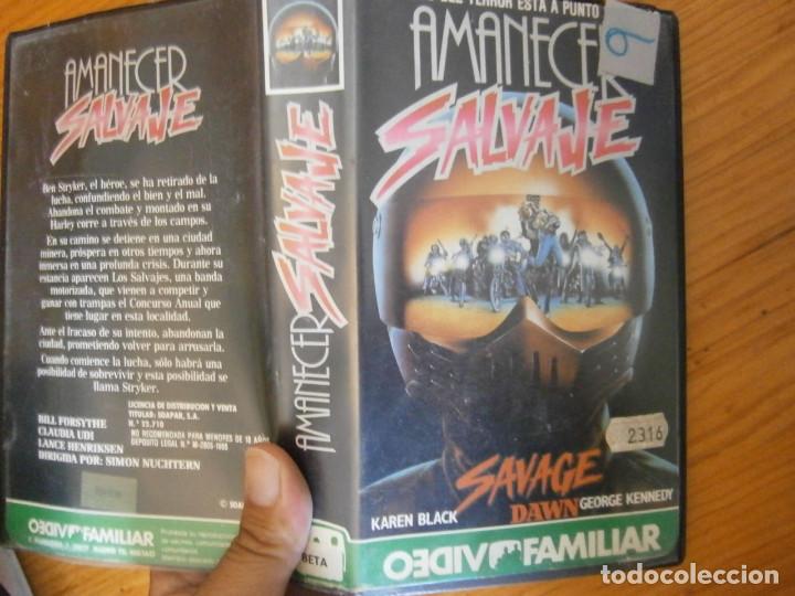 Cine: AMANECER SALVAJE-BETA - Foto 1