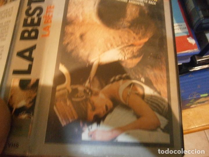 Cine: LA BESTIA BETA - Foto 3
