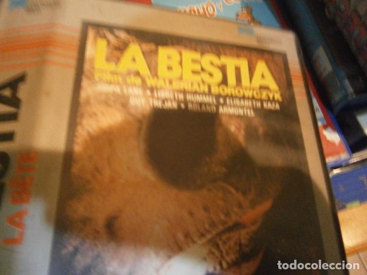 Cine: LA BESTIA BETA - Foto 4