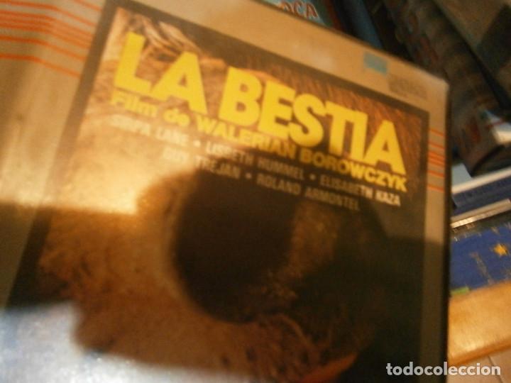 Cine: LA BESTIA BETA - Foto 5