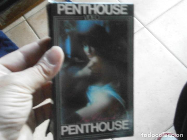 Cine: &iexcl;&iexcl;PENTHOUSE&iexcl;&iexcl;&iexcl;BETA&iexcl;&iexcl; - Foto 5