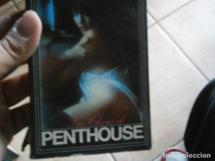 Cine: &iexcl;&iexcl;PENTHOUSE&iexcl;&iexcl;&iexcl;BETA&iexcl;&iexcl; - Foto 6