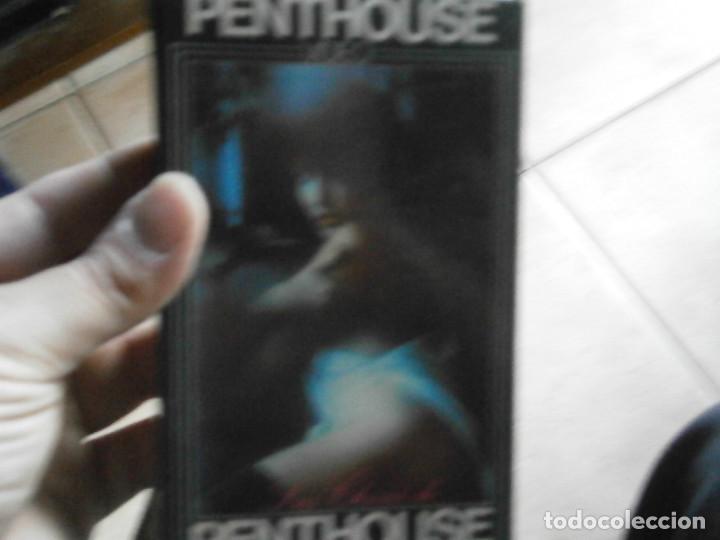 Cine: &iexcl;&iexcl;PENTHOUSE&iexcl;&iexcl;&iexcl;BETA&iexcl;&iexcl; - Foto 7