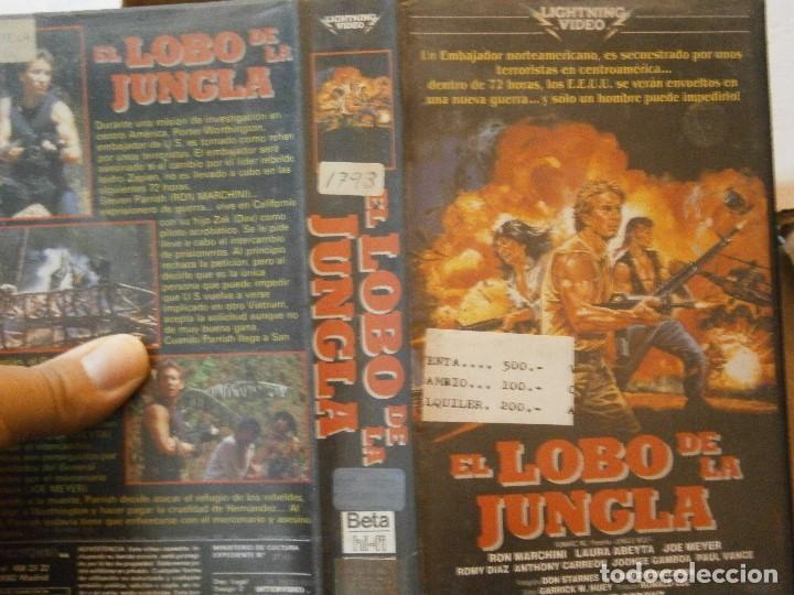 Cine: EL LOBO DE LA JUNGLA BETA - Foto 1