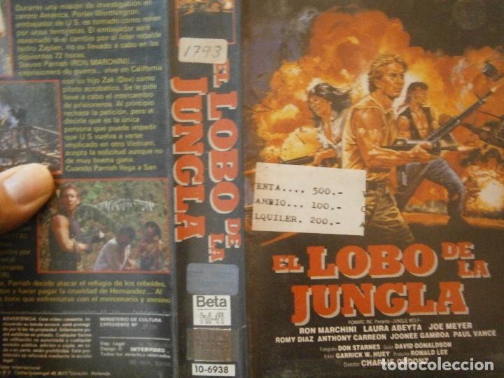 Cine: EL LOBO DE LA JUNGLA BETA - Foto 2