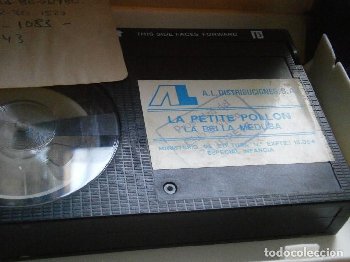 Cine: LA BELLA MEDUSA BETA - Foto 2