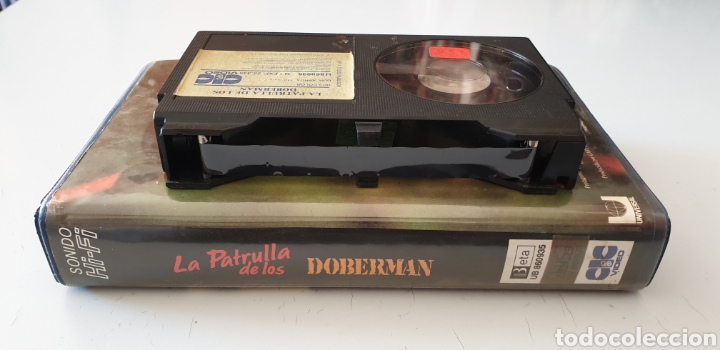 Cine: BETA - LA PATRULLA DE LOS DOBERMAN - Foto 4