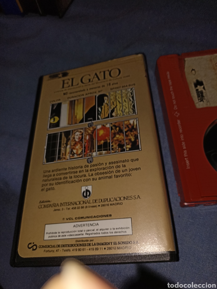 Cine: EL GATO - BETA- Sybil Danning - Foto 2