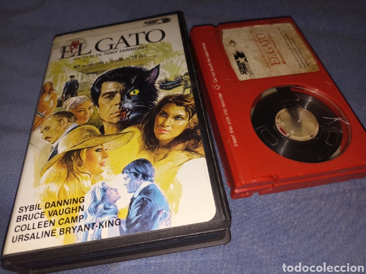 Cine: EL GATO - BETA- Sybil Danning - Foto 1