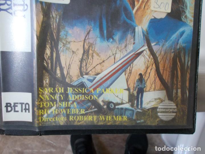 Cine: EL ESPIRITU DE TERRY BETA - Foto 3