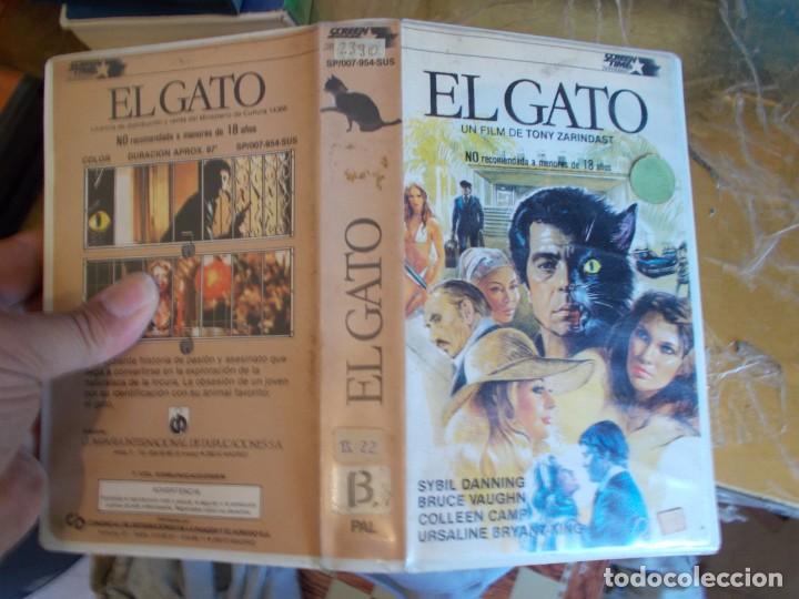 Cine: EL GATO BETA SIN PEGATINAS - Foto 1