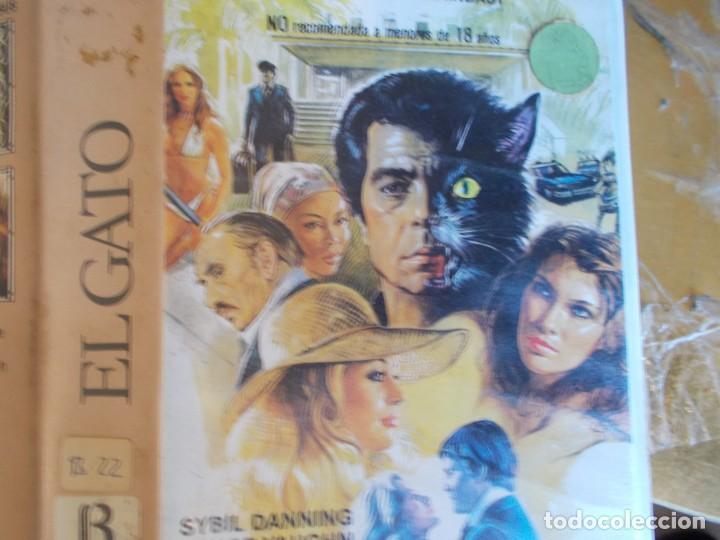 Cine: EL GATO BETA SIN PEGATINAS - Foto 2
