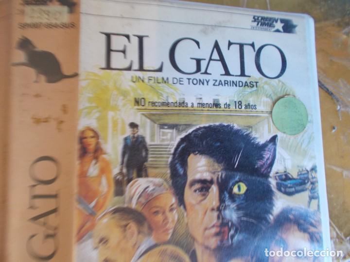 Cine: EL GATO BETA SIN PEGATINAS - Foto 4