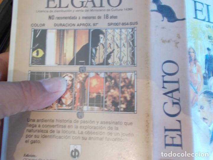 Cine: EL GATO BETA SIN PEGATINAS - Foto 5