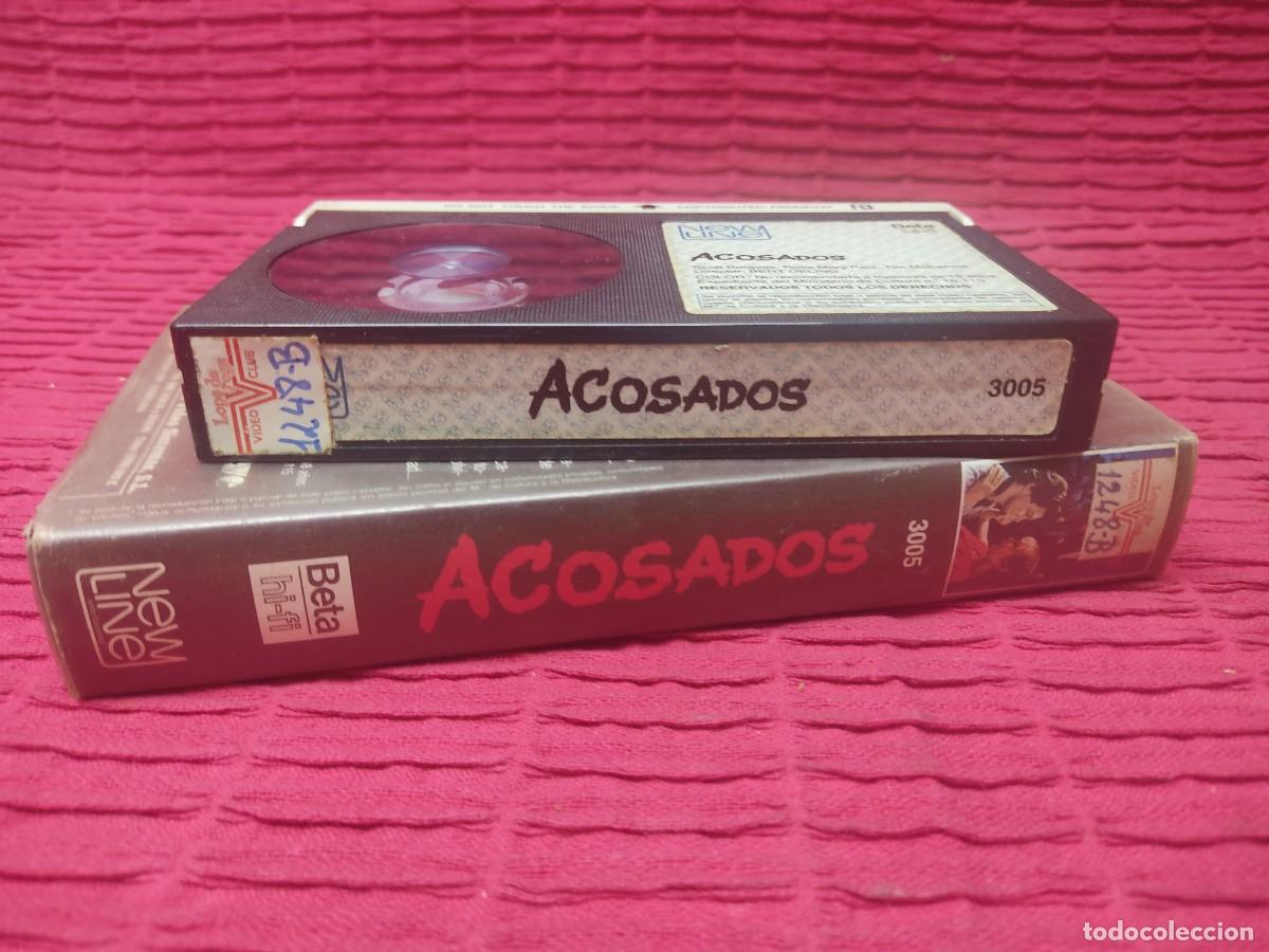 Cine: ACOSADOS .BETA.BERT DELING DIRECTOR. DEAD EASY - Foto 5