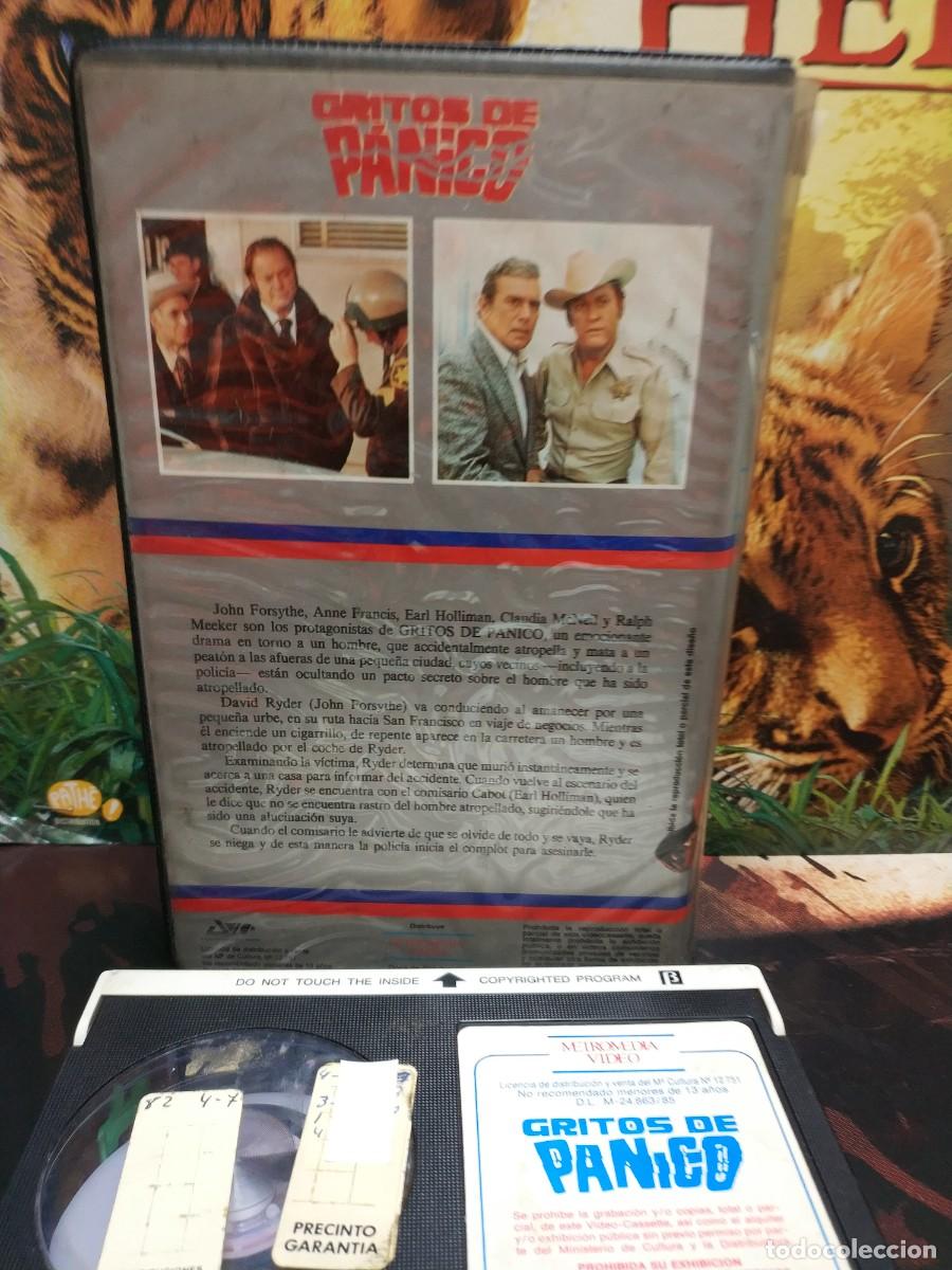 Cine: BETA - GRITOS DE P&Aacute;NICO - Foto 2
