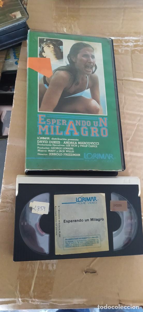 Cine: BETA- ESPERANDO UN MILAGRO. LORIMAR - Foto 1