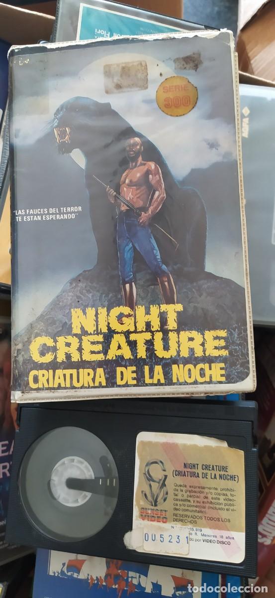 Cine: BETA-NIGHT CREATURE. SUNSET V&Iacute;DEO - Foto 1