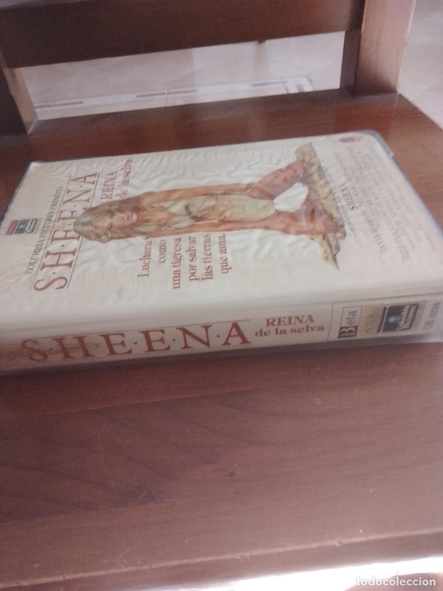 Cine: Shfena beta 1 edicion - Foto 3