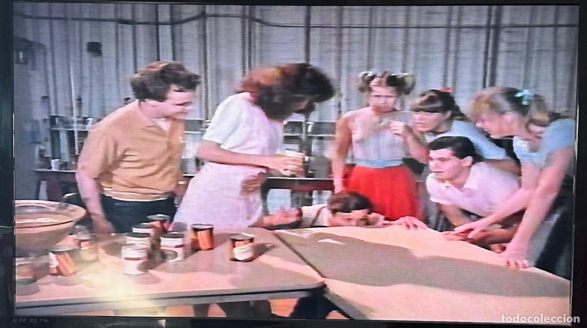 Cine: Porkys 2 - Porkys 2 - BETA - Foto 4