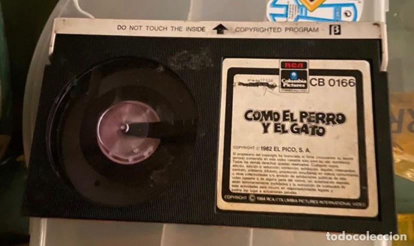 Cine: Pelicula Como el perro y el gato formato BETA - Foto 1