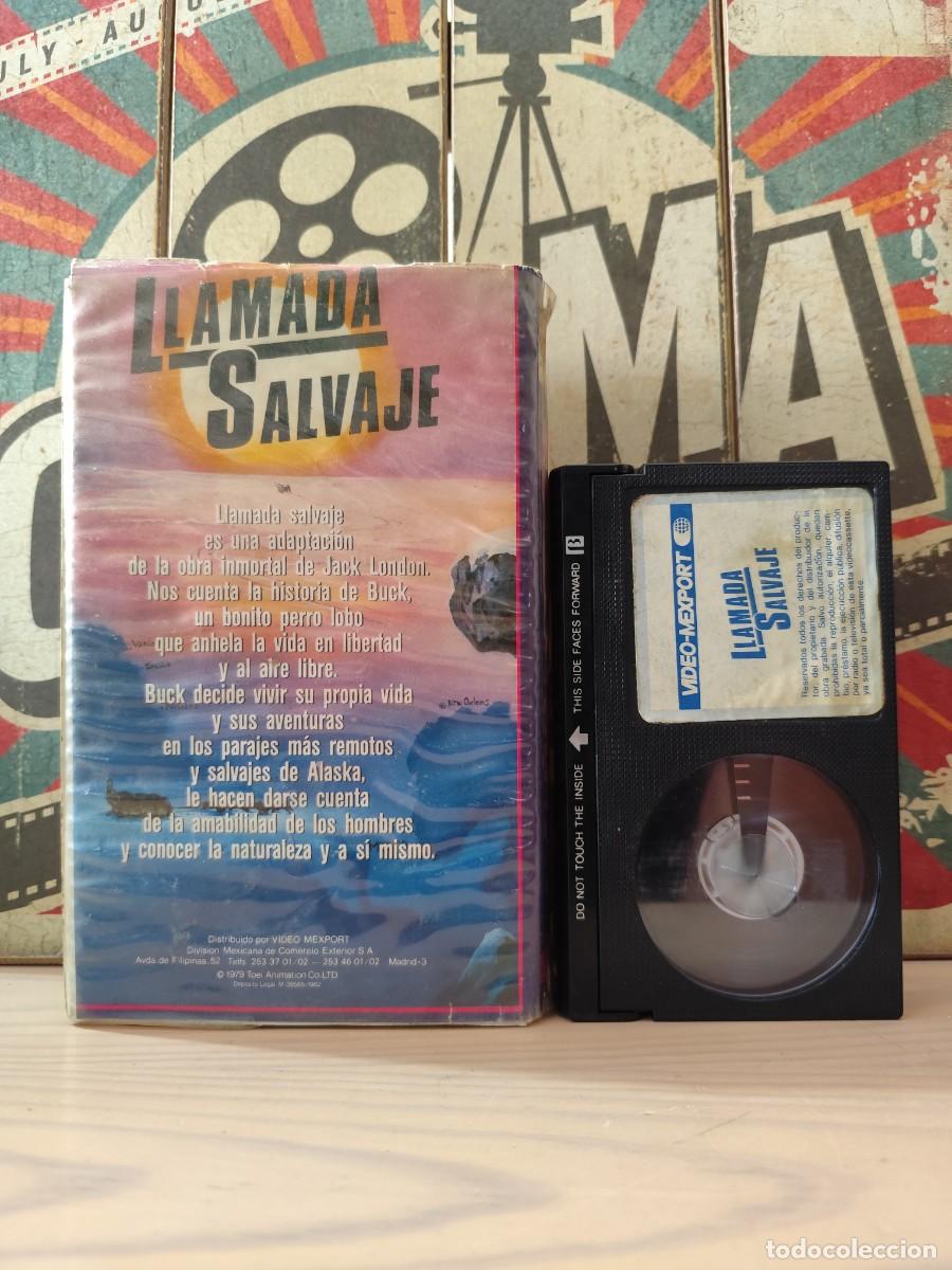 Cine: Beta CG 1022 Llamada salvaje - Foto 2