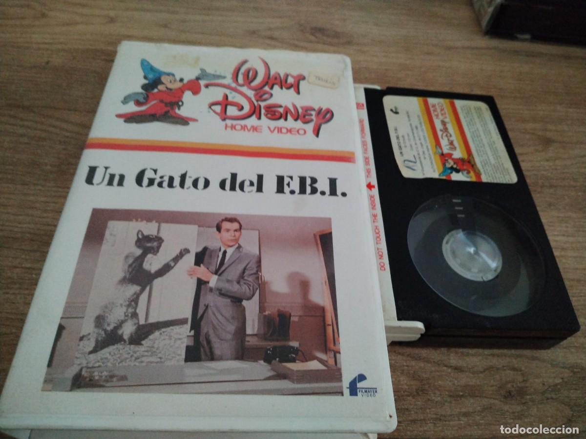 Cine: BETA - UN GATO DEL FBI - 25