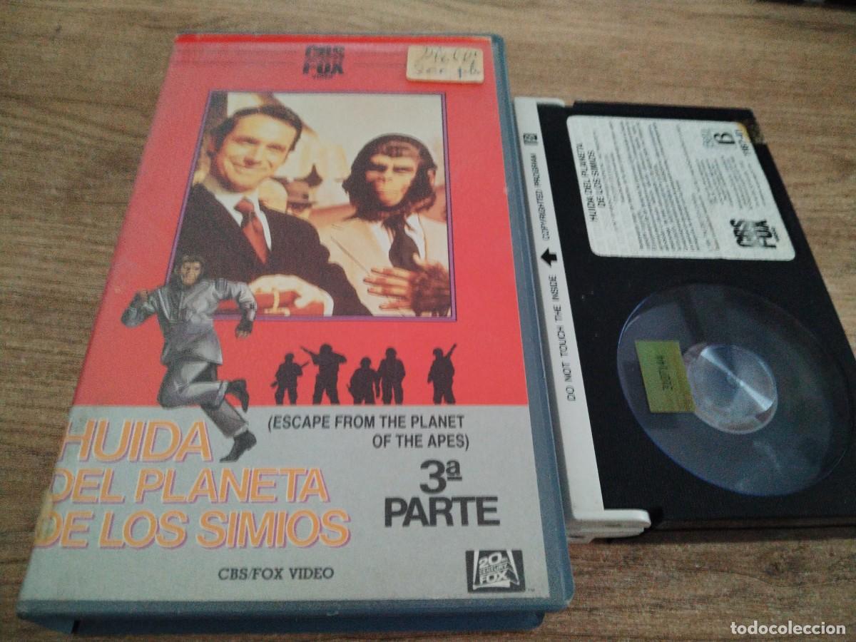 Cine: BETA - PLANETA DE LOS SIMIOS 3 PARTE - 26