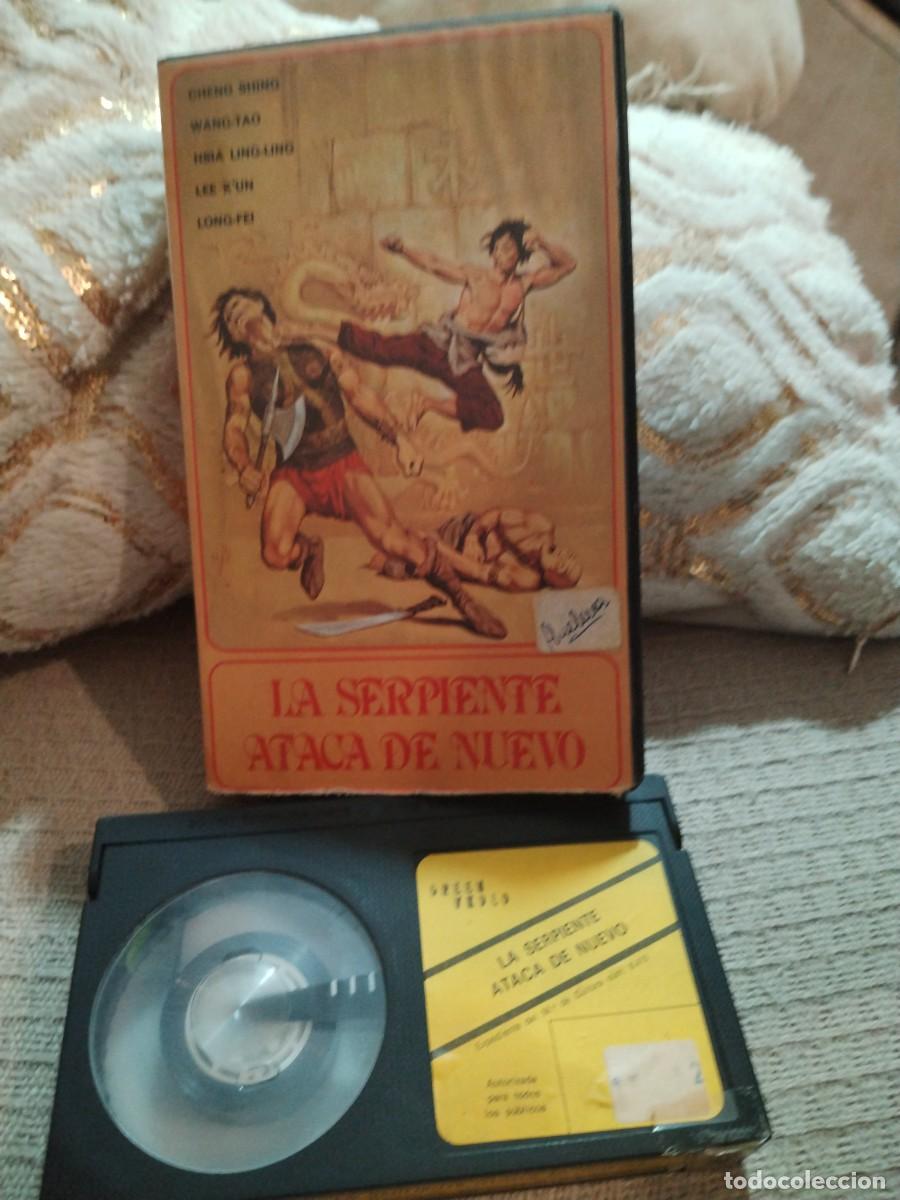 Cine: BETA - LA SERPIENTE ATACA DE NUEVO - 115