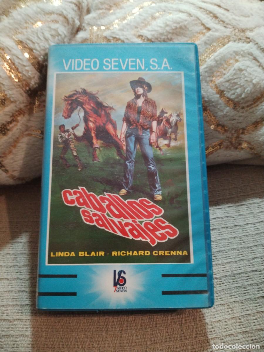 Cine: BETA - CABALLOS SALVAJES - 116