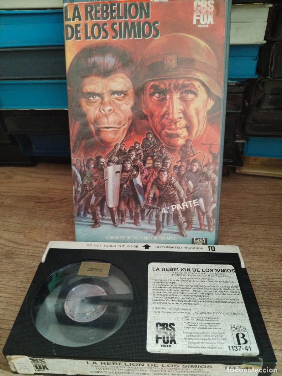 Cine: BETA - LA REBELION DE LOS SIMIOS 4 PARTE - 284