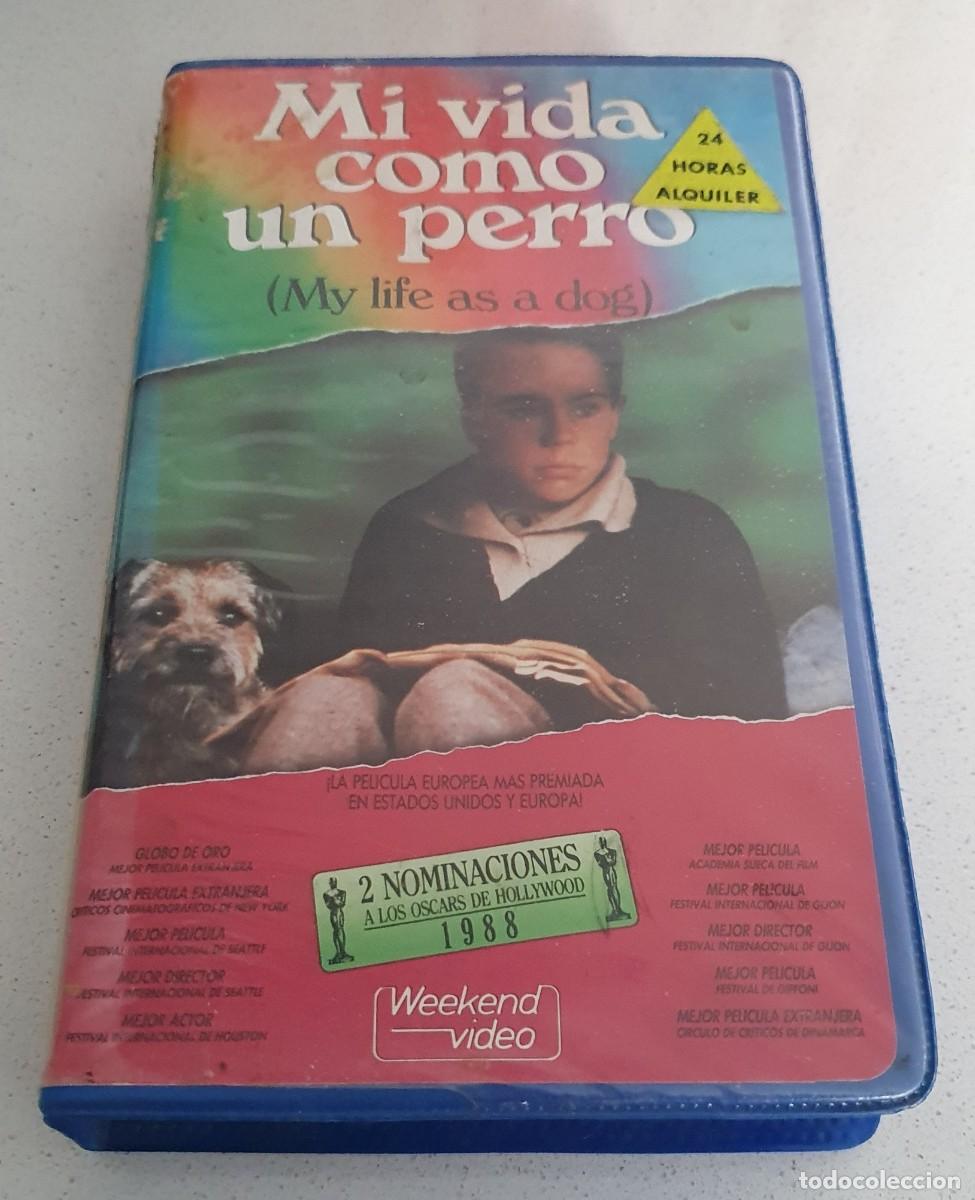 Cine: Pel&iacute;cula Beta Mi Vida Como un Perro. Lasse Hallstrom. Editada por Weekend Video videoclub alquiler