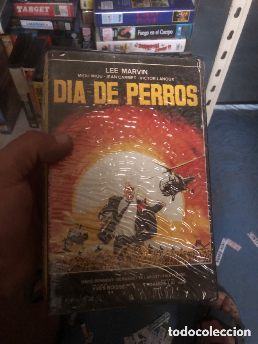 Cine: SISTEMA BETA D&Iacute;A DE PERROS
