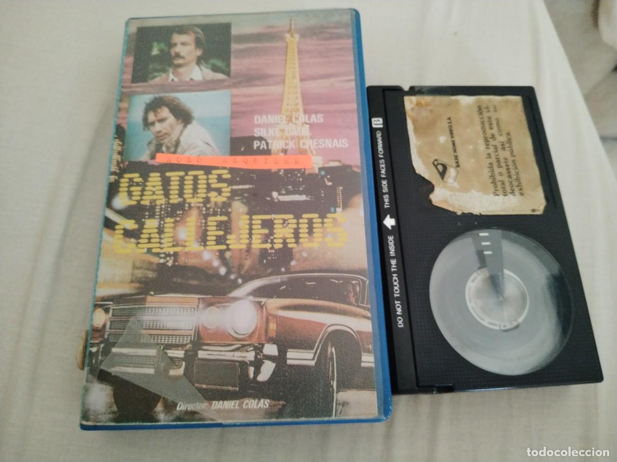 Cine: BETA - GATOS CALLEJEROS