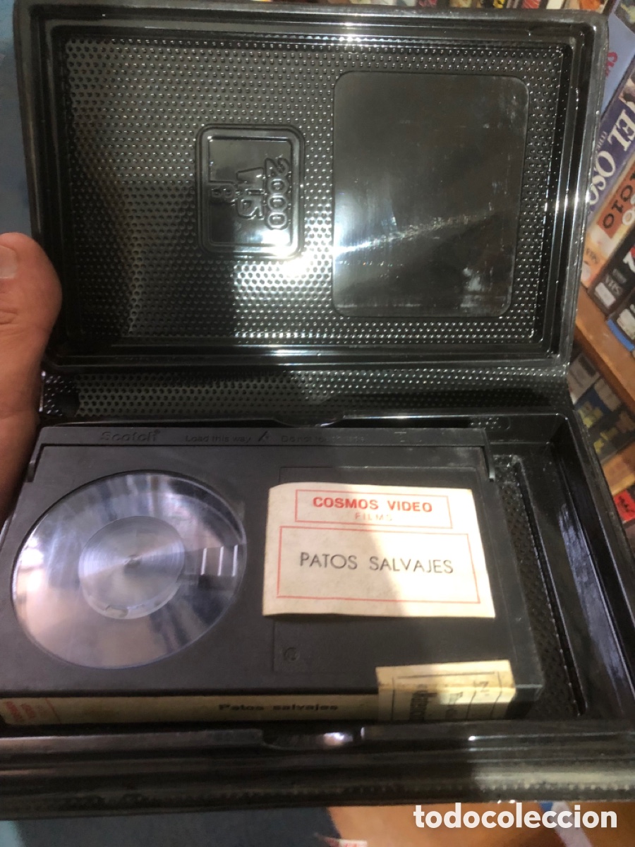 Cine: SRCAICO BETA PATOS SALVJES - Foto 4