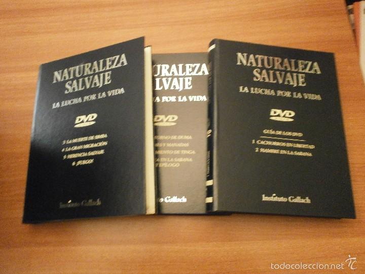 Cine: NATURALEZA SALVAJE , LA LUCHA POR LA VIDA -  CONTIENE  10 DVD