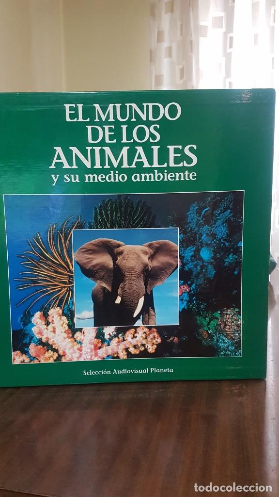 Cine: documentales de laser disc - Foto 1