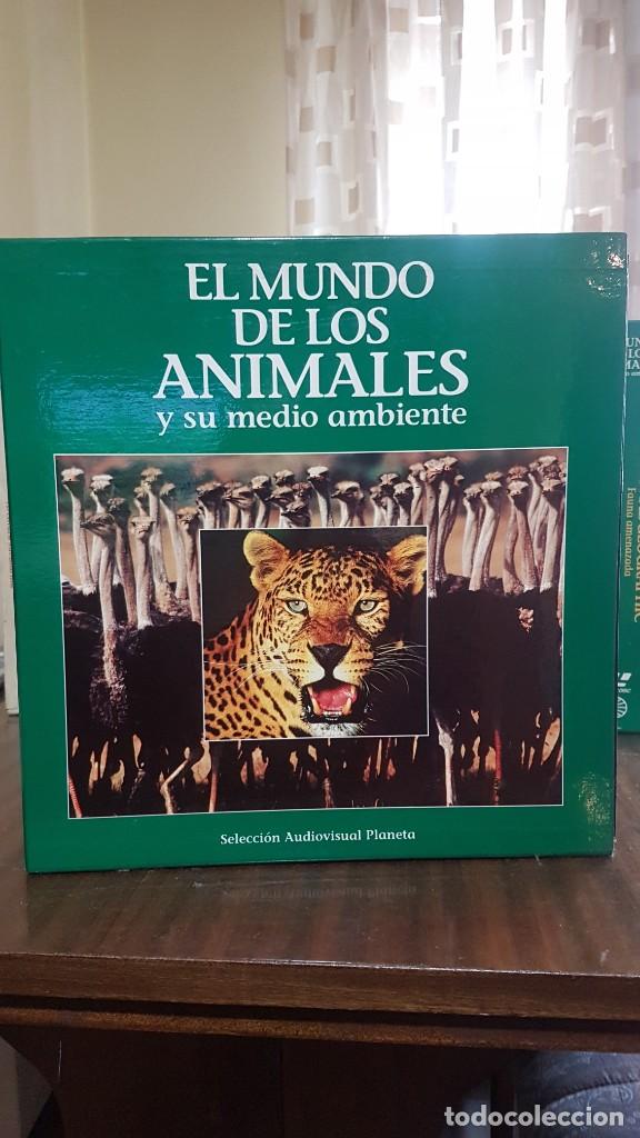 Cine: documentales de laser disc - Foto 3