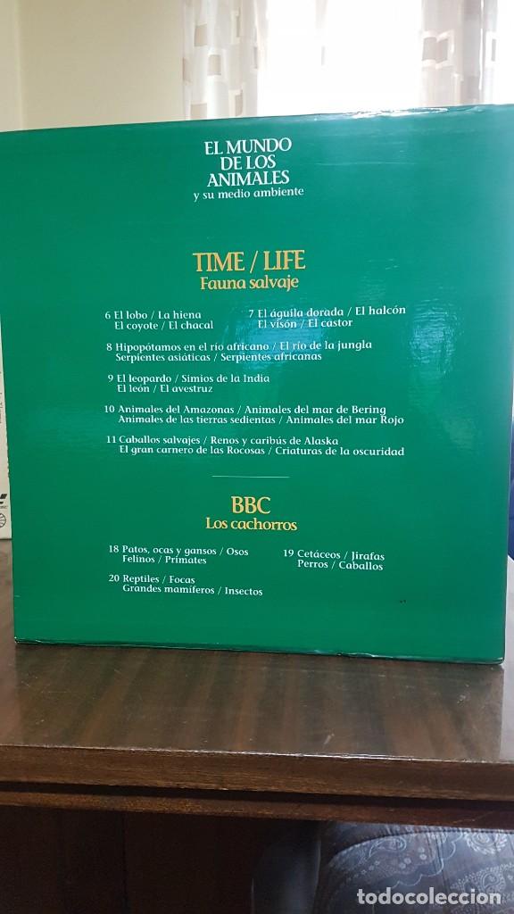 Cine: documentales de laser disc - Foto 4