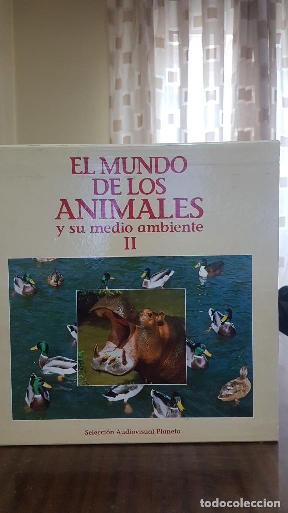 Cine: documentales de laser disc - Foto 6