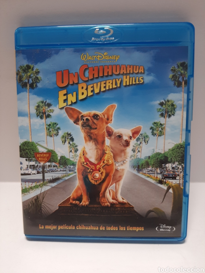 brs 57 un chihuahua en beverly hills -bluray se - Compra venta en  todocoleccion