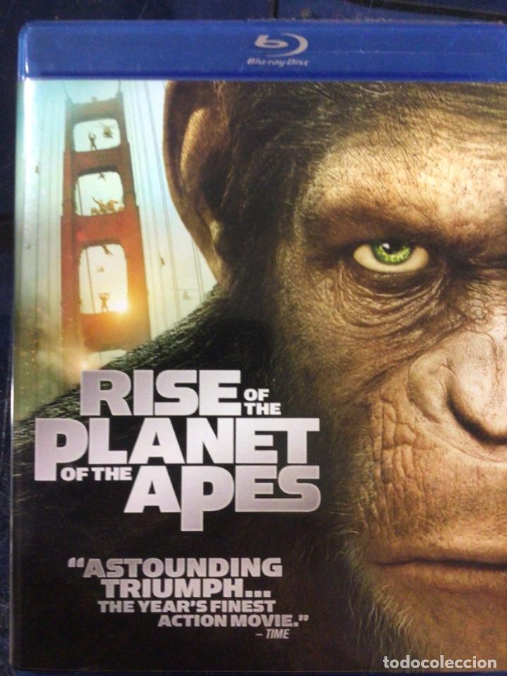 Cinema: Rise of the planet Of the apes