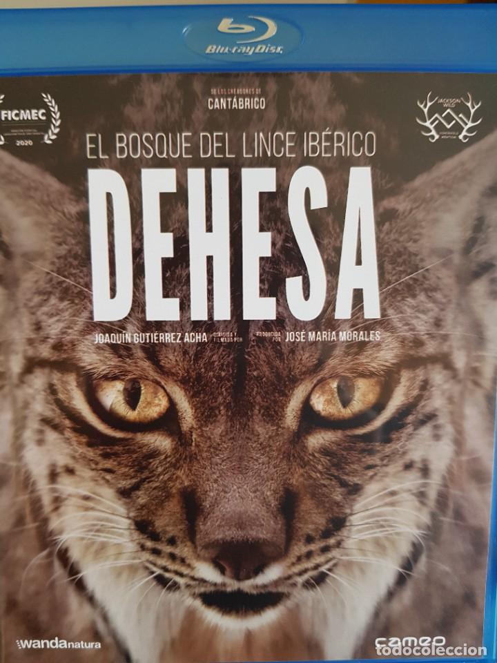 Cine: Dehesa, bosque del lince ib&eacute;rico (bluray)