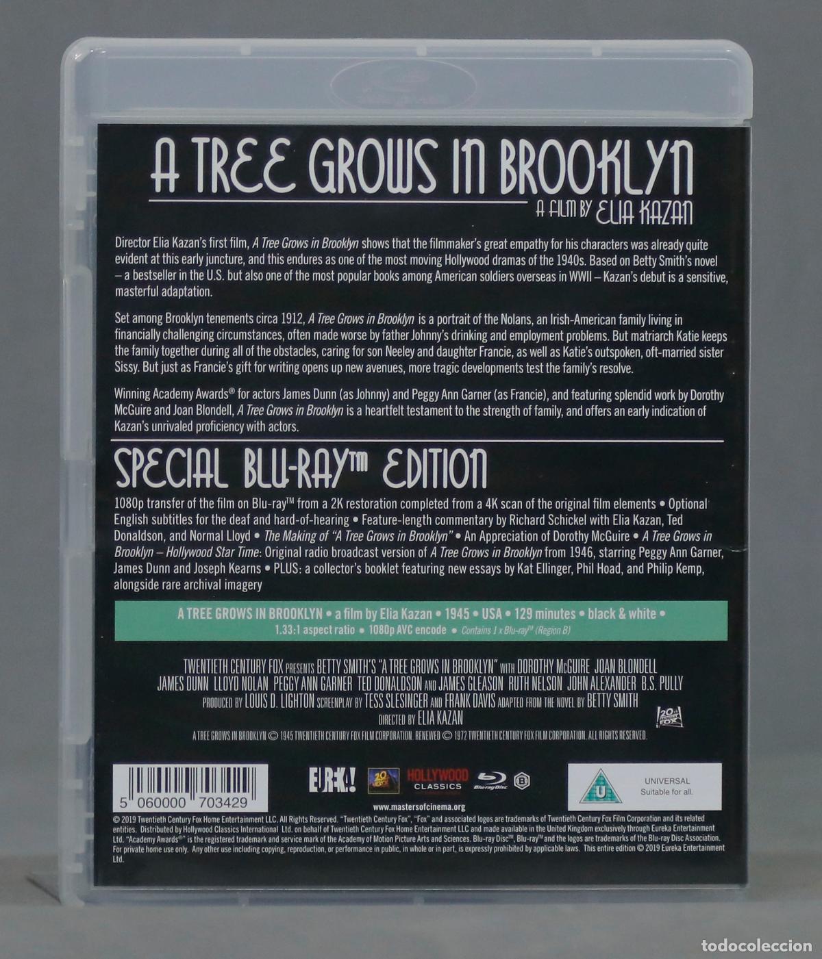 Cine: BLU-RAY. A TREE GROWS IN BROOKLYN - Foto 2