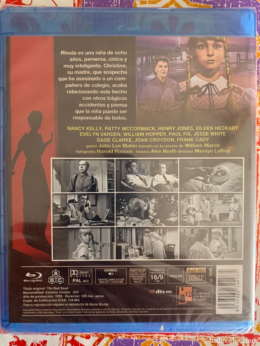 Cine: LA MALA SEMILLA - Foto 2