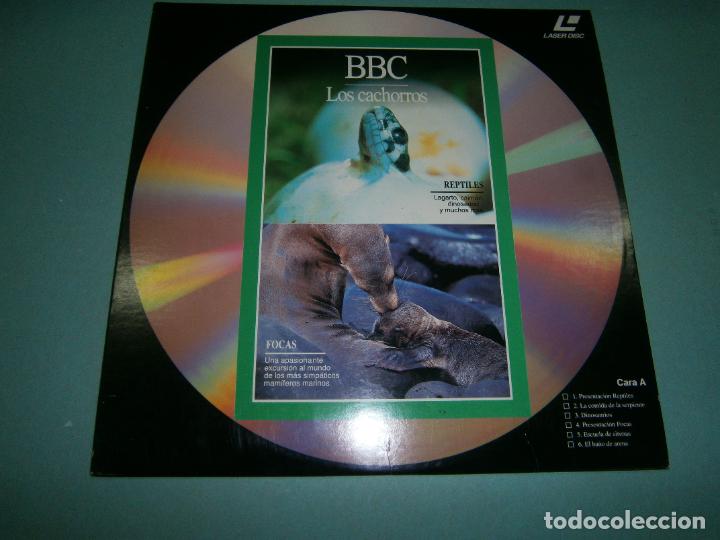 Cine: LASER DISC - BBC - NUEVO - D1 - Foto 1