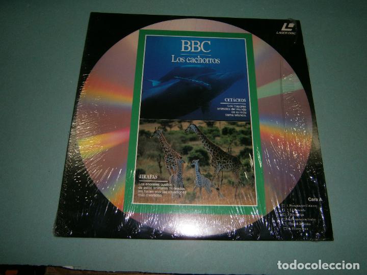 Cine: LASER DISC - BBC - NUEVO - D1 - Foto 1