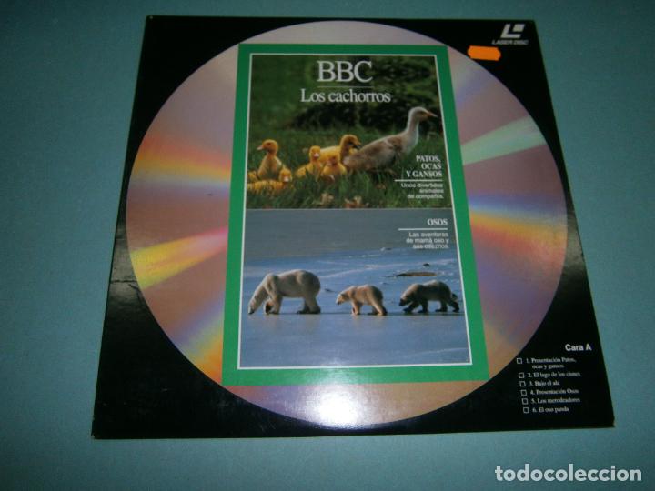 Cine: LASER DISC - BBC - NUEVO - D1 - Foto 1